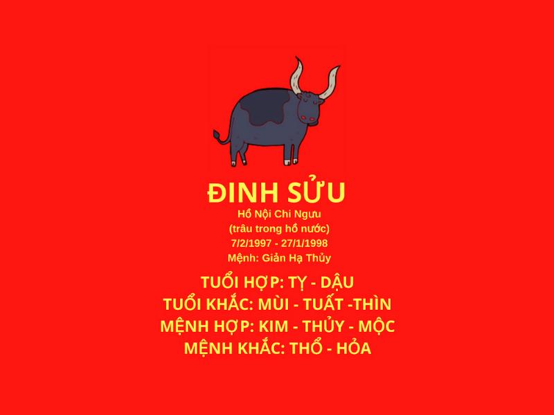 Huong dan lua chon vi tri xam dui cho nu phu hop voi tung mau thiet ke